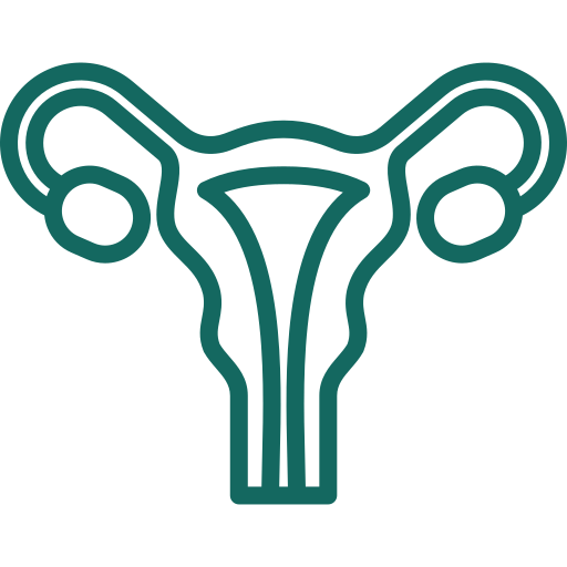 Inicio 11 Salud femenina